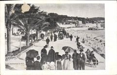 CPA Nice Promenade du Midi