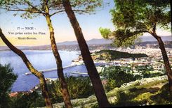 CPA Nice Vue Prise Entre Les Pins Mont Boron