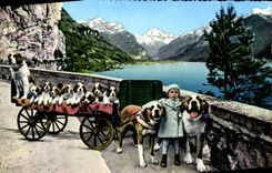 CPM Fluelen St Bernhard Zwinger Zwing Uri Chiens 