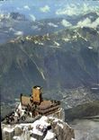 POSTAL MODERNA Chamonix Mont Blanc la aguja del Buet y de las agujas del sur de monitores