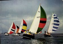 CPM Bateaux de Plaisance Voiliers Flotillle d'Arpeges