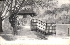 VINTAGE POSTCARD Geneva the path Of the Willows
