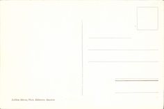 CPA Sur le lac leman Femmes Mouettes 