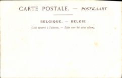 CPA Bruxelles Le Palais du Roi