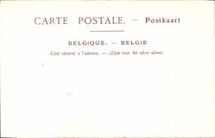 CPA Bruxelles La Chaire de la Cathedrale
