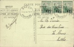 CPA Brest Le Pont National La Passerelle et la Grue