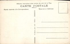 CPA Belfort Le Chateau et le Lion