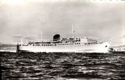 CPM compagnie Generale Transatlantique French Line Paquebot Napoleon 