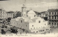 POSTAL Argel de la VENDIMIA la mezquita Djemaa Djedid
