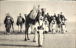 CPA Meharistes Militaria Chameau