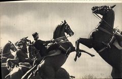 CPA Les Ecuyers Du Cadre Noir Cheval Hippisme 