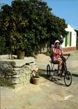 CPM Ile D'Oleron Le tricycle de grand mere Velo Cycle 