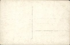 CARTE PHOTO Presentation du drapeau Militaria Allemagne 