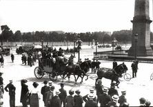 REPRO Paris Places Harmony Horse