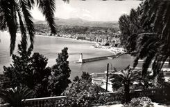 CPM Nice Entre Les Palmiers