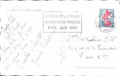 CPM Nice Entre Les Palmiers