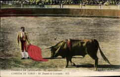 CPA Corrida De Toros Apres l'estocade Taureau 