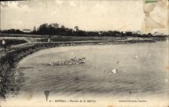 CPA Quimiac Marais de la Roblire Oies
