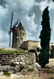 CPM Provence Le Moulin De Daudet