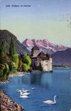 CPA Chateau De Chillon Cygne