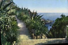 CPA Cap D'Antibes Villa Eilenroc Bord De Mer