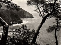 CPM Cote D'Azur Le Cap Sicie