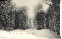 CPA Chateau De Chantilly Les Trois Allees