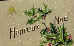 CPA Fantaisie Fleurs Noel