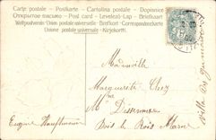 CPA Fantaisie Fleurs Rose