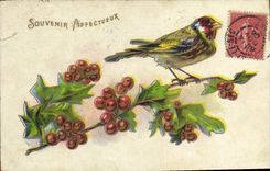 CPA Fantaisie Fleurs Oiseau