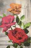 CPA Fantaisie Fleurs Roses