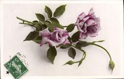 CPA Fantaisie Fleurs 