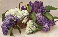 CPA Fantaisie Fleurs