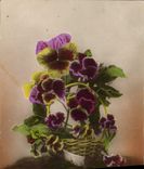 CPA Fantaisie Fleurs 