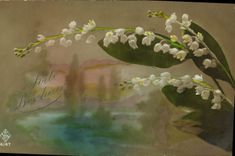 CPA Fantaisie Fleurs Muguet