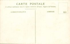 VINTAGE POSTCARD Fantasy Flowers Bunch pink pinks