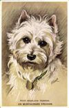 CPA Fantaisie West Highland Terrier Un montagnard d'Ecosse Chien 