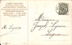 VINTAGE POSTCARD Fantasy Flowers (chart argentee)