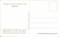 CPA Fantaisie Selva Armoiries Drapeau