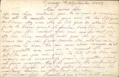 VINTAGE POSTCARD Fantasy Woman Piano