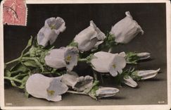 CPA Fantaisie Fleurs