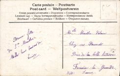 CPA Fantaisie Fleurs Colombe