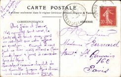 VINTAGE POSTCARD Fantasy Flowers Chick Guitar