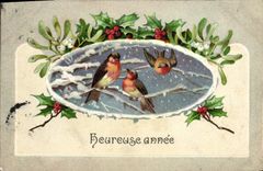 CPA Fantaisie Oiseaux