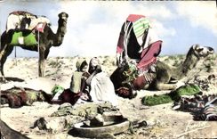 CPM Campement de nomades Chameau