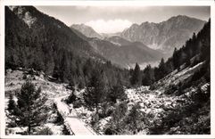 CPM St Martin Vesubie La Route du Boreon