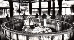 MODERN CARD Vichy Reine of the Towns of Water Large Source roasts