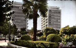 CPM Pau Vue la Place Clemenceau et le Palais des Pyrenees
