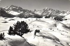 CPM Skigeblet Riederalp Bettmeralp 