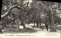 CPA Oudjda Les Bosquets de Sidi Yakia